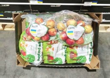 ФГ “Гадз” з Тернопільщини розширює яблучний експорт до Великої Британії