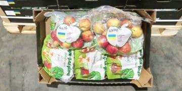 ФГ “Гадз” з Тернопільщини розширює яблучний експорт до Великої Британії