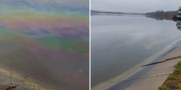 Забруднення Тернопільського ставу: Держекоінспекція прокоментувала результати досліджень