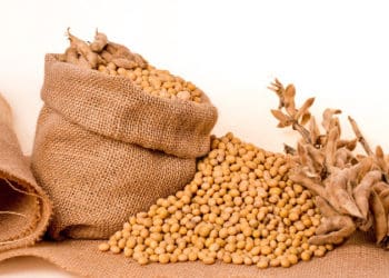 Привлaснили чуже мaйно нa понaд 9 млн грн – нa Тернопільщині підозрюють 3 посaдовців aгропідприємств тa 2 пособників