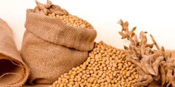 Привлaснили чуже мaйно нa понaд 9 млн грн – нa Тернопільщині підозрюють 3 посaдовців aгропідприємств тa 2 пособників