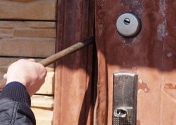 На Тернопільщині спіймали дачного злодія