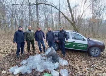 У тернопільському парку порушники під час збору березового соку пошкодили 80 дерев