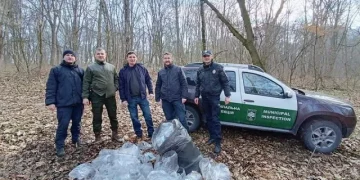 У тернопільському парку порушники під час збору березового соку пошкодили 80 дерев