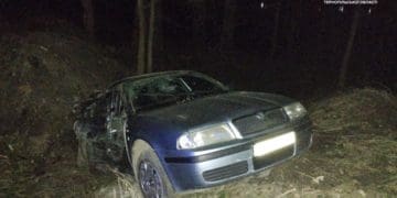 2,66 проміле: п’яний водій злетів в кювет на Дальному пляжі