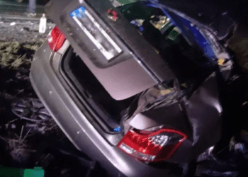 В недільній смертельній ДТП на Зборівщині загинули мама та її 10-річний син