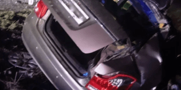 В недільній смертельній ДТП на Зборівщині загинули мама та її 10-річний син