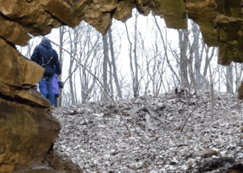 У закинутих підвалах графського палацу будуть проводити екскурсії