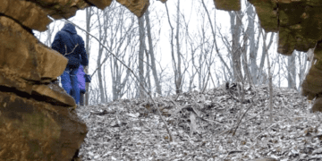 У закинутих підвалах графського палацу будуть проводити екскурсії