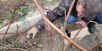 На Тернопільщині національний природний парк закликає рятувати кажанів