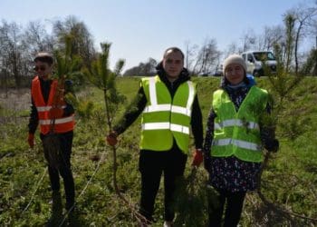 Уздовж доріг Тернопільської області посадили 1000 дерев