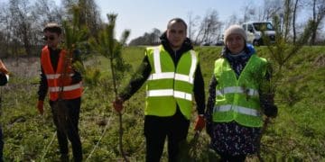 Уздовж доріг Тернопільської області посадили 1000 дерев
