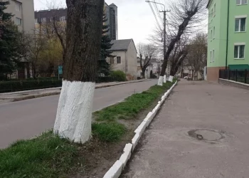 У Тернополі роблять те, що заборонено по всій країні