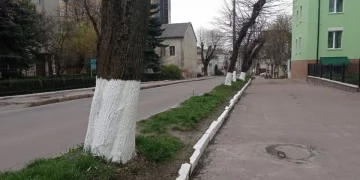 У Тернополі роблять те, що заборонено по всій країні