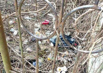 Вже бігають щурі: центральну частину міста Тернопіль перетворюють на смітник