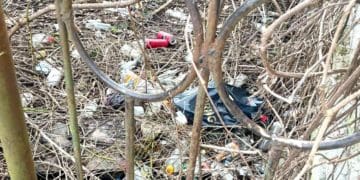 Вже бігають щурі: центральну частину міста Тернопіль перетворюють на смітник