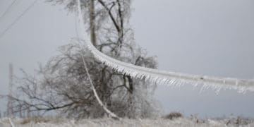 У Тернополі через негоду зупинили рух тролейбусів