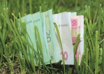 Бізнесмен на Тернопільщині ухилявся від сплати за оренду гектарів землі