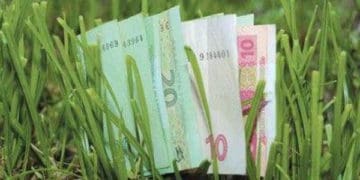 Бізнесмен на Тернопільщині ухилявся від сплати за оренду гектарів землі