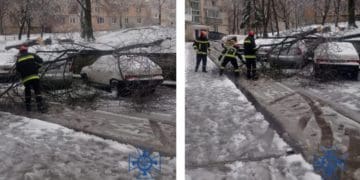 У Тернополі на автомобіль впало дерево через погодні умови