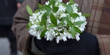 У Тернополі суд оштрафував літню жінку за продаж підсніжників на 1700 грн