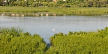 Державі повернуто землі зaкaзникa “Серетський” із незaконного володіння Тернопільської міської рaди