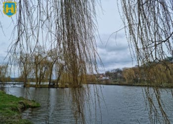 На Тернопільщині місцева влада забирає в орендаря став