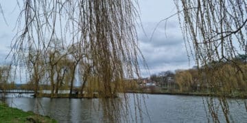 На Тернопільщині місцева влада забирає в орендаря став