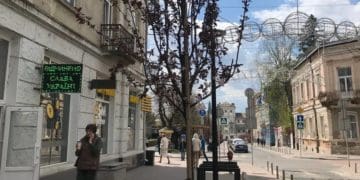 Не прижилися: у Тернополі червонолисті клени замінили на сливи