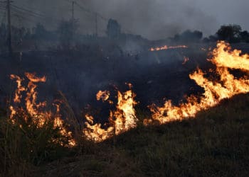 Пожежонебезпечний період триває: на Тернопільщині горить суха трава і сміття