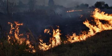 Пожежонебезпечний період триває: на Тернопільщині горить суха трава і сміття