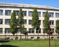 Один із ліцеїв хоче ліквідувати у Бережанах міський голова (Документ)