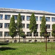 Один із ліцеїв хоче ліквідувати у Бережанах міський голова (Документ)