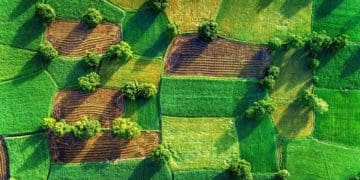 Землю росіянки на Чортківщині хочуть конфіскувати і передати державі