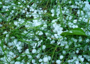 Подекуди град: погіршення погоди прогнозують на Тернопільщині вже завтра   