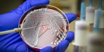 Штучний інтелект допоміг вченим відкрити новий надпотужний антибіотик