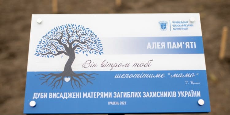 У Зарваниці матері загиблих воїнів висадили алею дубів