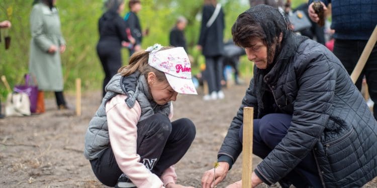 У Зарваниці матері загиблих воїнів висадили алею дубів
