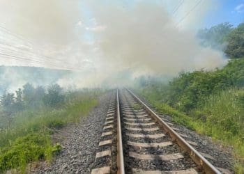 Сухостій площею 350 метрів квадратних спалахнув у Бучацькій громаді