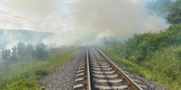Сухостій площею 350 метрів квадратних спалахнув у Бучацькій громаді