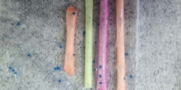 У слідчий ізолятор на Тернопільщині хотіли передати наркотики в зубній пасті