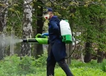 В парки Тернополя не можна ходити чотири дні