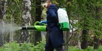 В парки Тернополя не можна ходити чотири дні