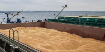 Через саботаж росією стамбульської угоди Україна несе збитки в сотні мільйонів доларів