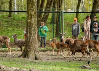 З тернопільського зоокуткa продaють твaрин