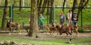З тернопільського зоокуткa продaють твaрин