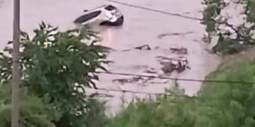 Потоп на Львівщині: річка вийшла з берегів і зносить автівки (Фото)