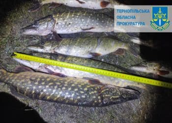 За вилов риби на 400 тисяч грн на Тернопільщині судитимуть браконьєрів