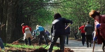 Для впорядкування найпростіших укриттів у Тернополі проведуть толоку