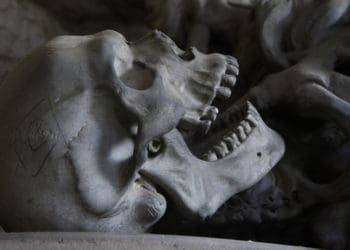 Скелет невідомого чоловіка, який помер півтора року тому, виявили на Кременеччині